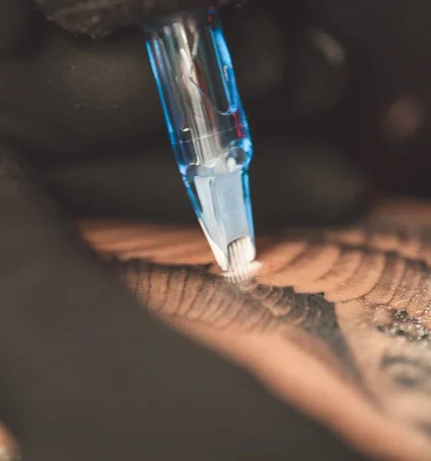 Guía para Tatuadores Experimentados